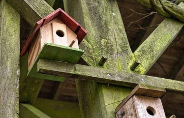 Mangeoire à oiseaux