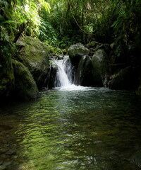 Obraz premium Beautiful waterfall and the green trees