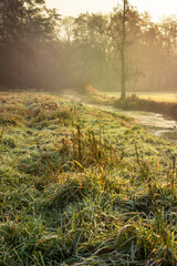 Morgen Frost an der Rodau