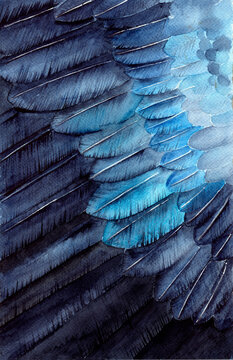 Watercolor illustration of a fragment of a bird wing (a raven or a jackdaw) with beautiful black, blue and turquoise iridescent feathers