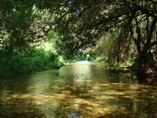 Cauce  rio Mundo