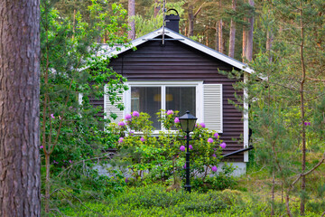 Black wooden house with white windows in the middle of the green forest between trees in summer, sweden