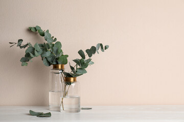Vases with beautiful eucalyptus branches on white wooden table near beige wall. Space for text