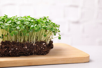 Fresh organic microgreen on white table, closeup