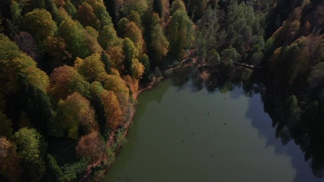 A drone view of the lake and green nature which is fascinating. As additional information, the name of this lake is Karagol and it is located in Artvin/Turkey