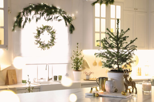 Small Christmas Trees And Festive Decor In Kitchen