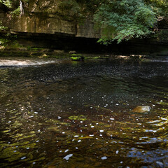 Walden Beck near West Burton Falls, North Yorkshire, England, United Kingdom