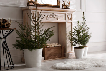Beautiful room interior with potted fir trees and fireplace