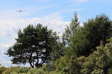 Beautiful green trees on aircraft in blue sky with white clouds background at Sunny summer day, Russian natural landscape view in Moscow Region