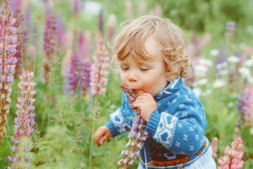 a child plays among the grass