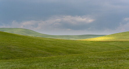 Steppe Grass Fields Mongolia