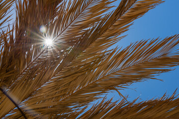 Shadow of exotic tropical summer umbrella made of palm leaf, look at sun through palm leaves on beach