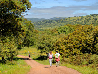 Two hikers women walking down the Sierra de Aracena near Cañaveral de Leon, province of Huelva, Andalucia, Spain