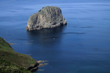 Fototapeta na wymiar Islote de la costa Cantabrica al lado de Bermeo.