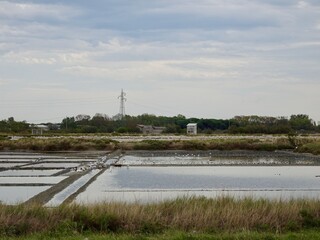 saline di cervia