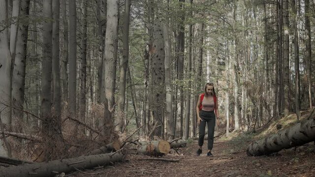 Woman tourist sitting on a mountain trail and holding on to a sore leg. First aid. Wound broken leg