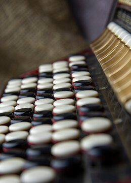 Buttons bayan close-up.Black and white keys of an accordion close up. Selective focus.
