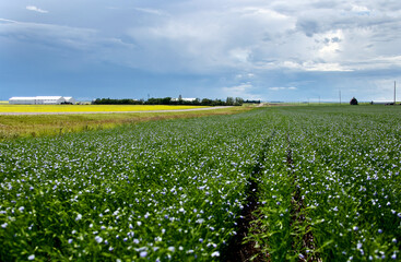 Prairie Storm Clouds Canada