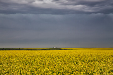 Fototapeta premium Prairie Storm Clouds Canada