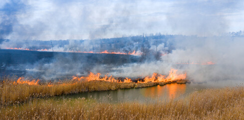 Burning dry grass in the meadow top view.
