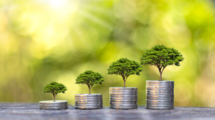 The tree is growing on a pile of coins and wood floors and a blurry green nature backdrop. Financial growth concept.