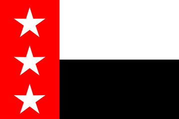 Flag Of The Texan City Of Laredo