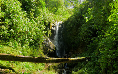Ein tropischer Wasserfall im Regenwald 