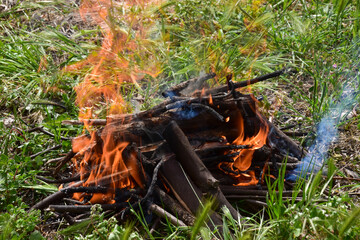 wood on fire in a garden