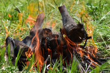 wood and fire for the barbeque