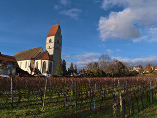 Beautiful view of small village Hagnau am Bodensee, Lake Constance, Germany, with historic catholic church St. Johann Baptist in front of bare vineyard in winter season on sunny day with blue sky.