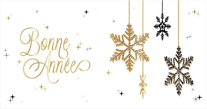 Happy New Year celebration card with moving snowflake for mailing, web invitation, greeting cards&hellip; animation vector design. White background and  french text : BONNE ANNEE