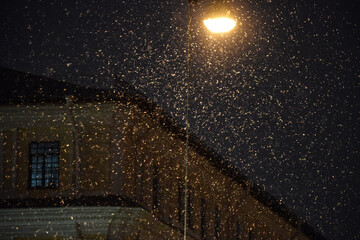 Night snow and light 