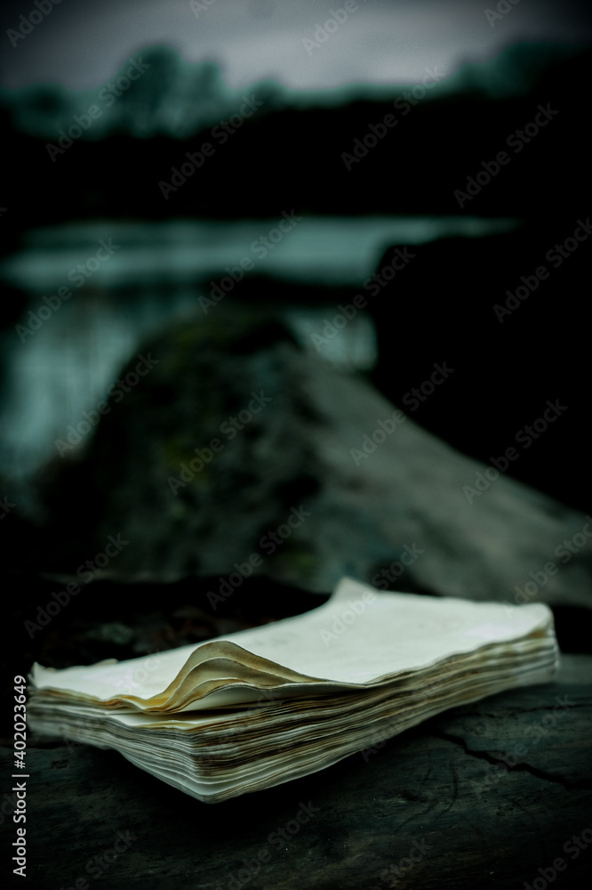 Poster a vertical shot of an old vintage paper sketchbook with blank pages lying on a tree trunk in a mysti