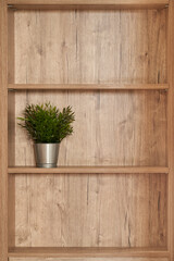 wooden shelf with flower in metal basket. High quality photo