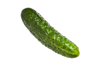 Gherkin isolated on white background