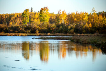 Autumn Northern Saskatchewan