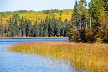 Autumn Northern Saskatchewan