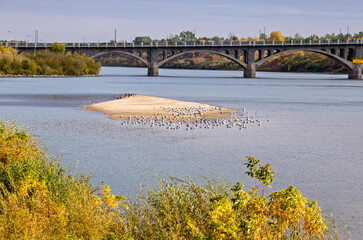 Obraz premium North Saskatchewan River Saskatoon