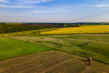 landscape with field and sky