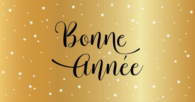 Happy New Year celebration card with fireworks for mailing, web invitation, greeting cards&hellip; animation made in 4K vector design. Gold background and french text : BONNE ANNEE