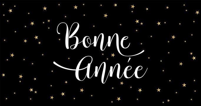 Happy New Year celebration card with fireworks for mailing, web invitation, greeting cards&hellip; animation made in 4K vector design. Black background and french text : BONNE ANNEE
