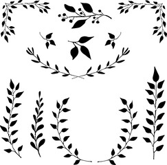 Plant ornaments, vector