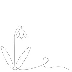 Snowdrop flower line drawing on white background, vector illustration