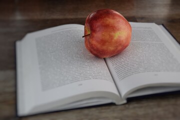 Czerwone jabłko na otwartej książce - obrazy, fototapety, plakaty