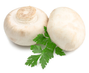 Mushrooms isolated on white background