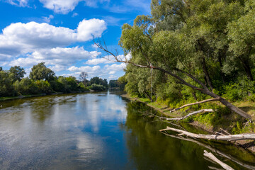 Nature river landscape in summer aerial view.