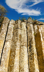 Fototapeta premium Basalt columns photographed from below with bushes and cacti on the edge of the cliff