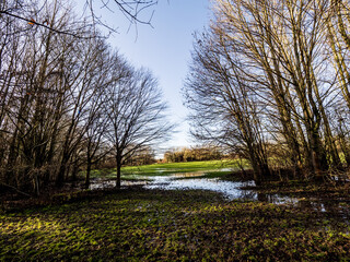 Obraz premium FLOOD IN THE PARK 