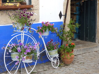 Obraz na płótnie Canvas bicycle and flowers