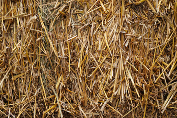 Straw as background. Selective focus.